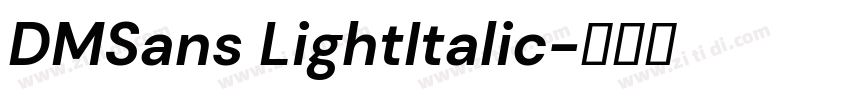 DMSans LightItalic字体转换